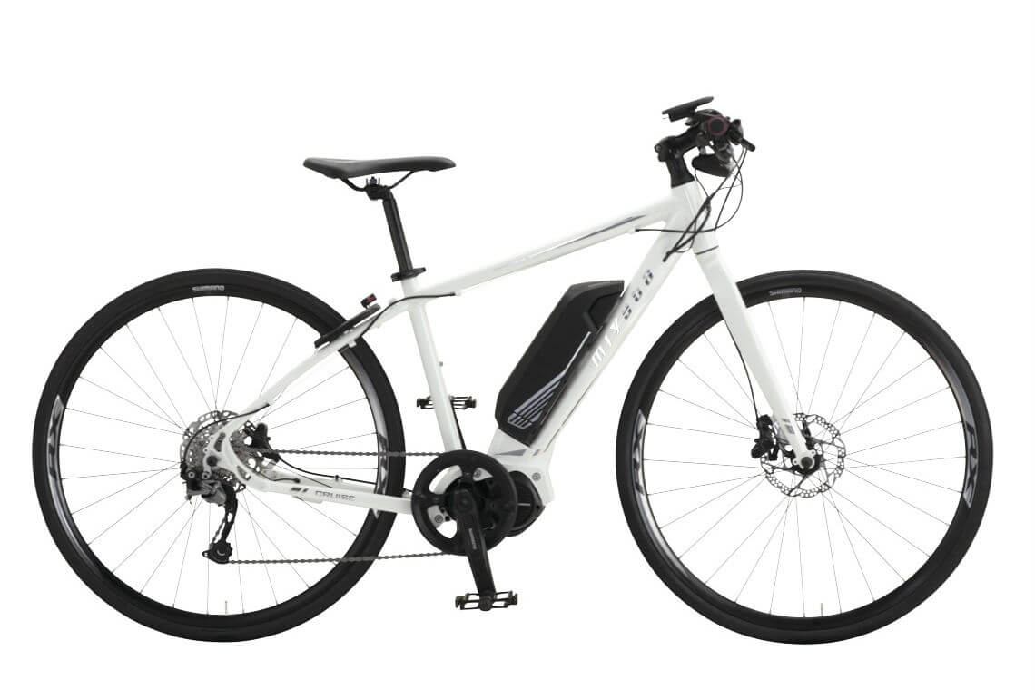 rental bicycle